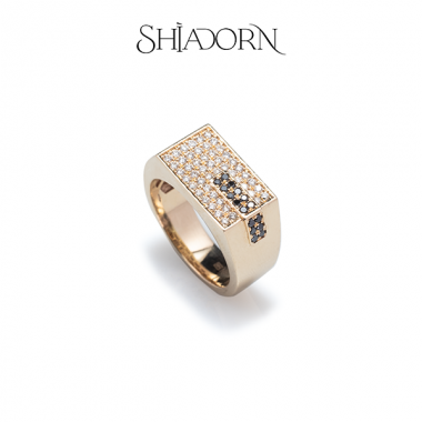 Diamond signet 14k ring